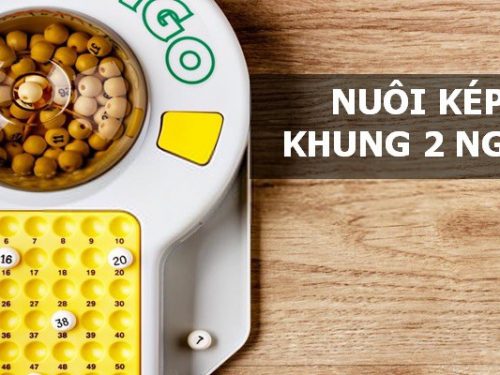 Lô kép nuôi khung 2 ngày – Bật mí bí kíp từ cao thủ