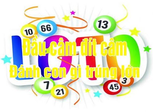 Kinh nghiệm chơi đầu 9 câm hôm sau đánh con gì dễ trúng