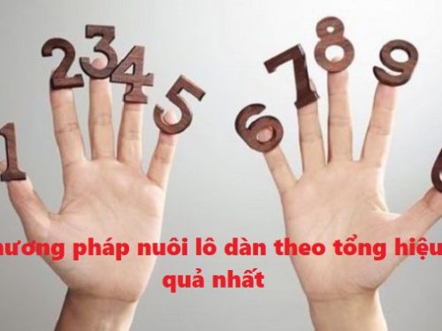 chia sẻ một vài bí quyết chơi lô dàn hiệu quả và chính xác nhất