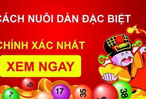 Thống kê XS Mega 6/45 kết quả
